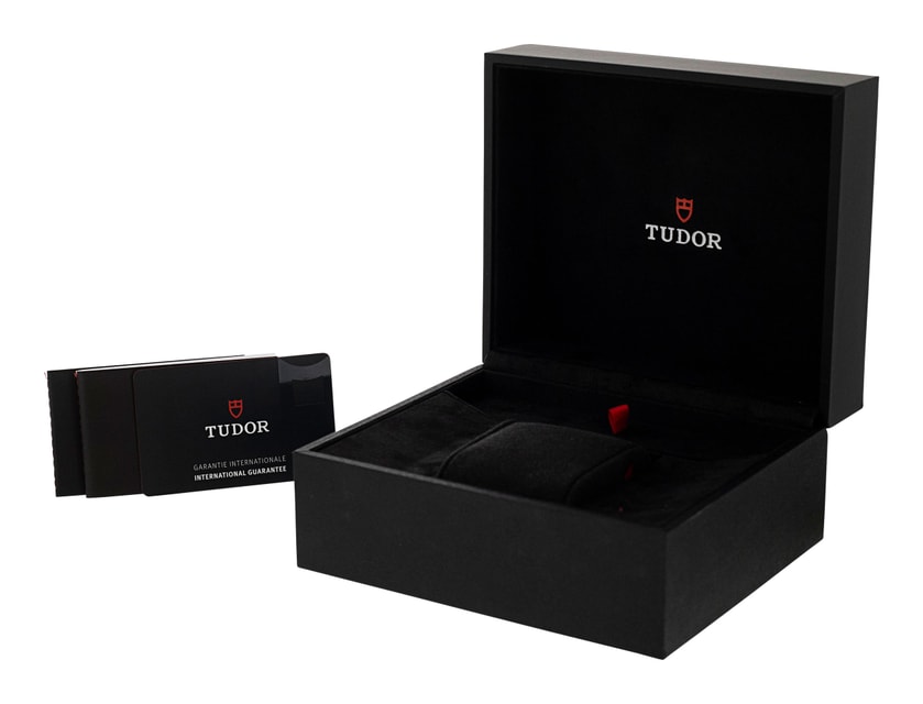Tudor Black Bay 58 M79012M-0001 Image 4